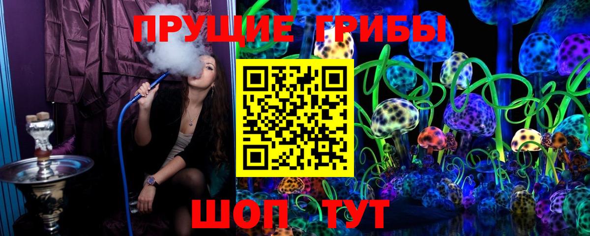 Светлоград  Псилоцибиновые грибы Psilocybe  Галлюциногенные грибы MAGIC MUSHROOMS  Вход с VPN 